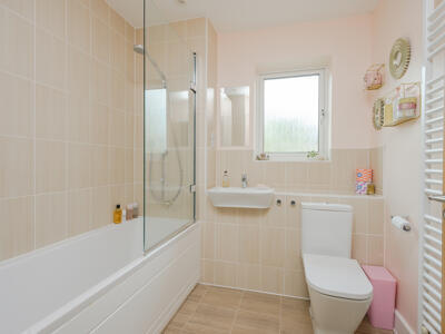 Picture 16